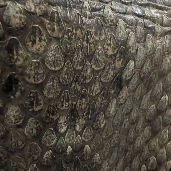 Rattlesnake and Leather Tri Fold Wallet - Picture 9 of 10